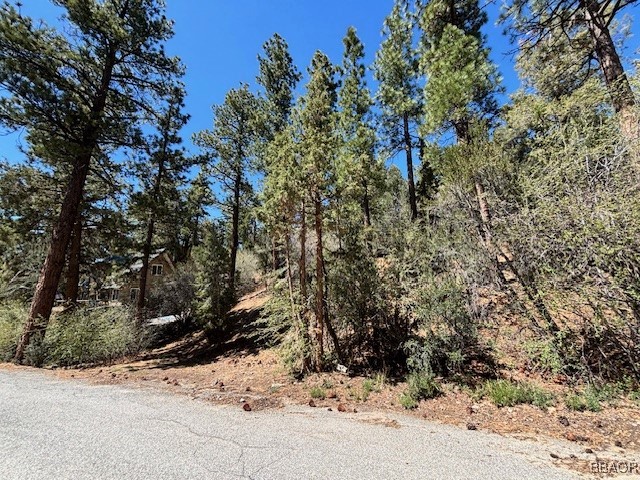 0 East Rainbow Boulevard Big Bear City, CA 92314 - Photo 4 of 6 a plant view