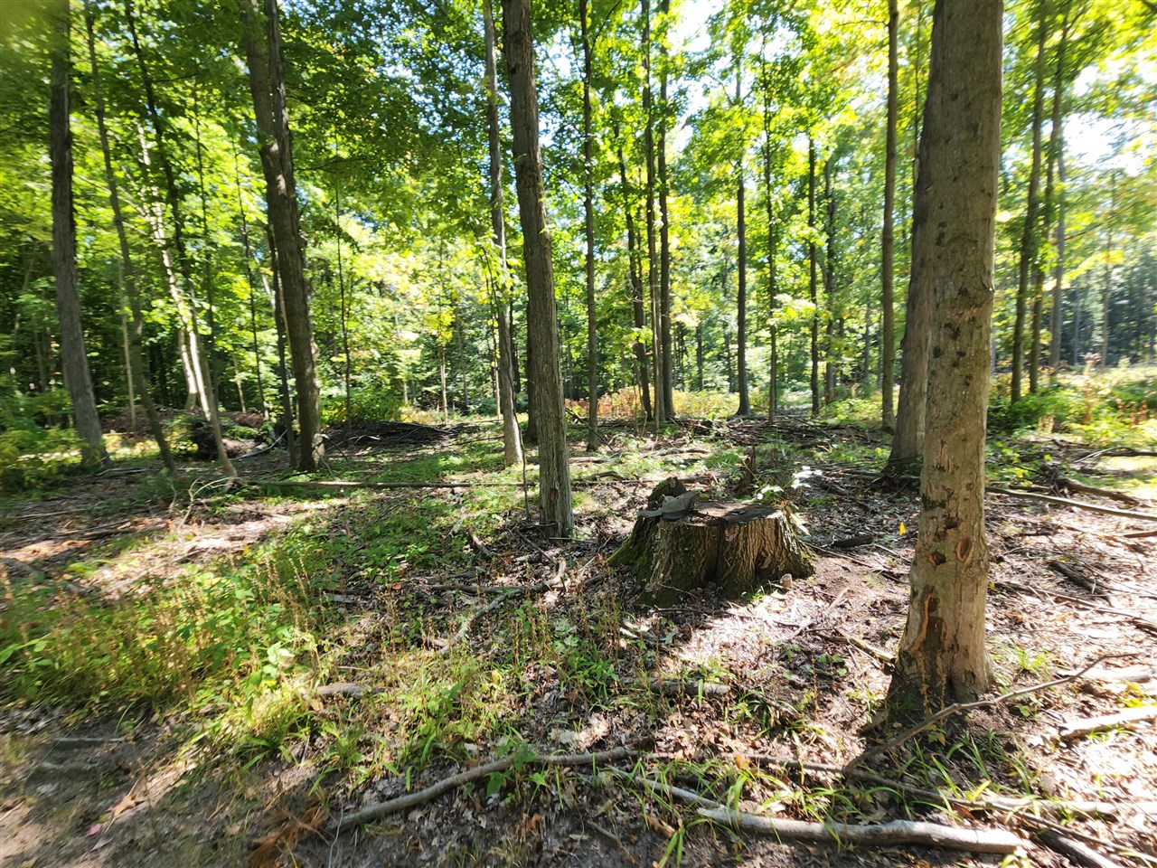 Lot F North Behler Road Bailey, MI 49303 - Photo 14 of 20