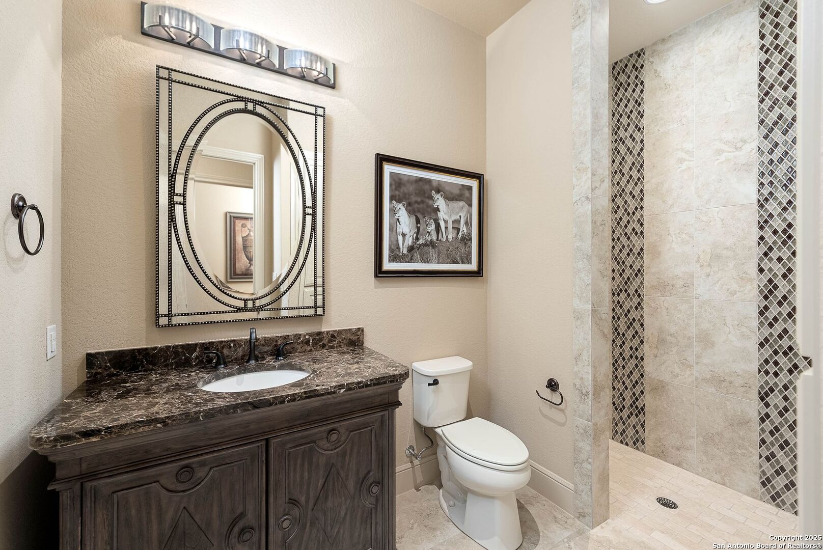631 Menger Springs Boerne, TX 78006 - Photo 16 of 54 a bathroom with a granite countertop toilet a sink and a mirror