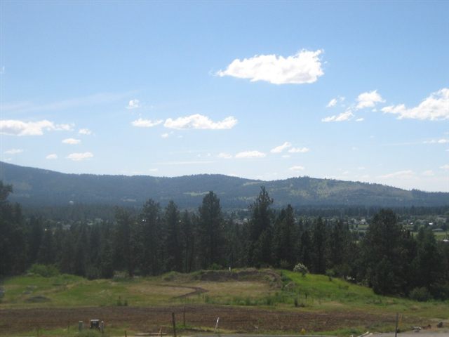 2806 South Conklin Road Veradale, WA 99037 - Photo 4 of 5