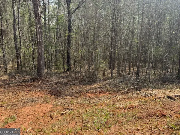 a view of a yard with trees in the background