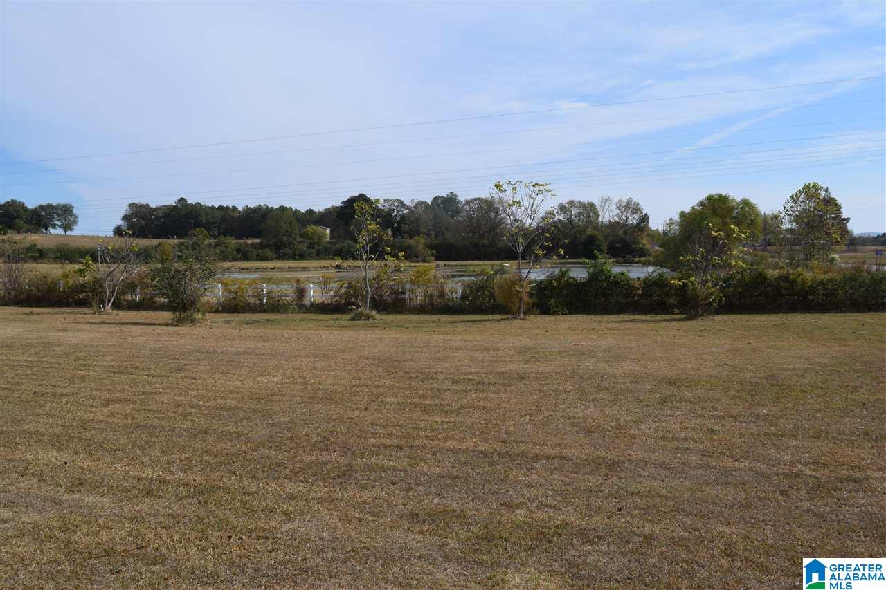 46 Odice Branham Road Hayden, AL 35079 - Photo 4 of 50