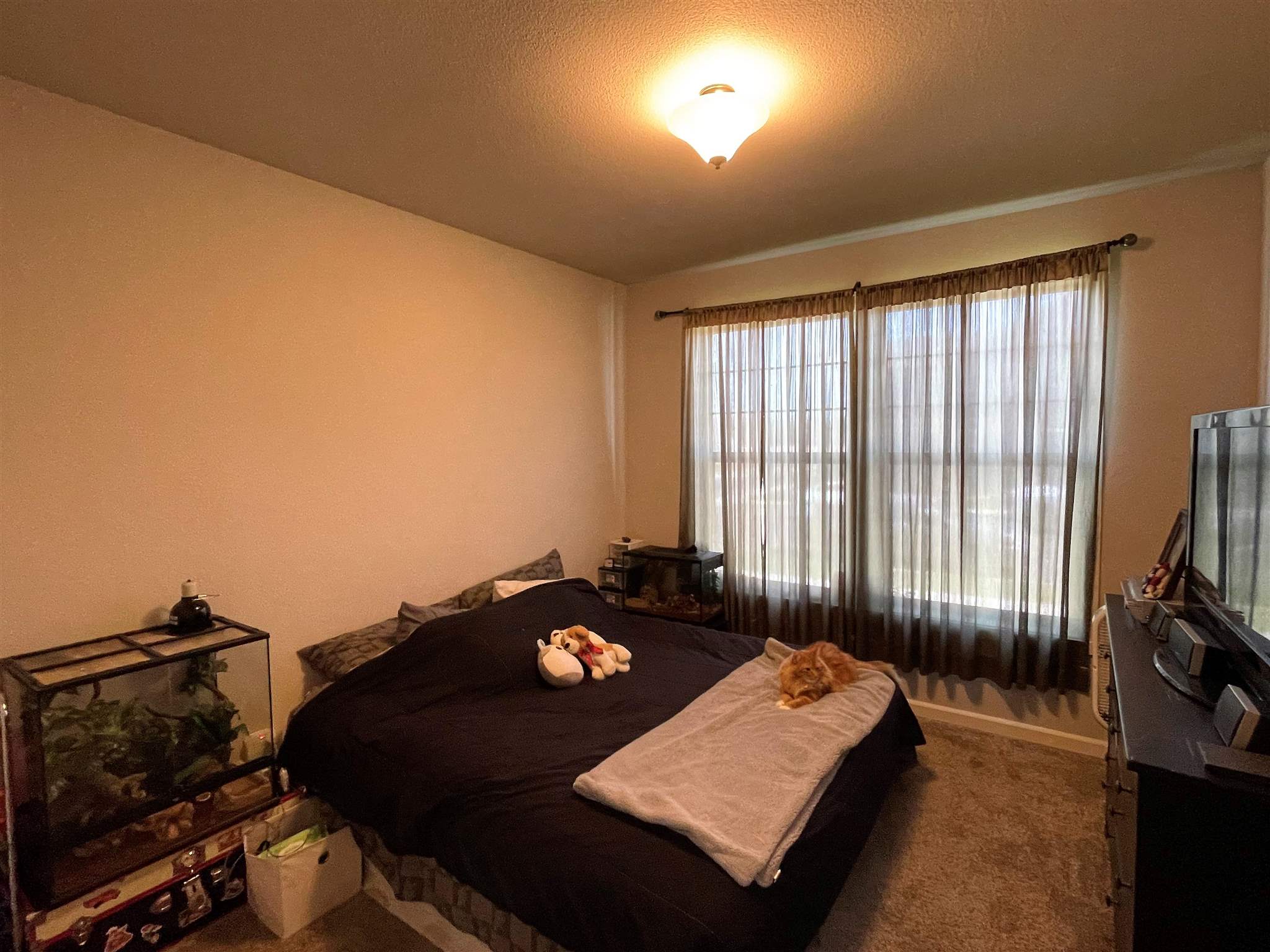 7134 Harlow Road Cheney, WA 99004 - Photo 27 of 34 Gallery Image 27
