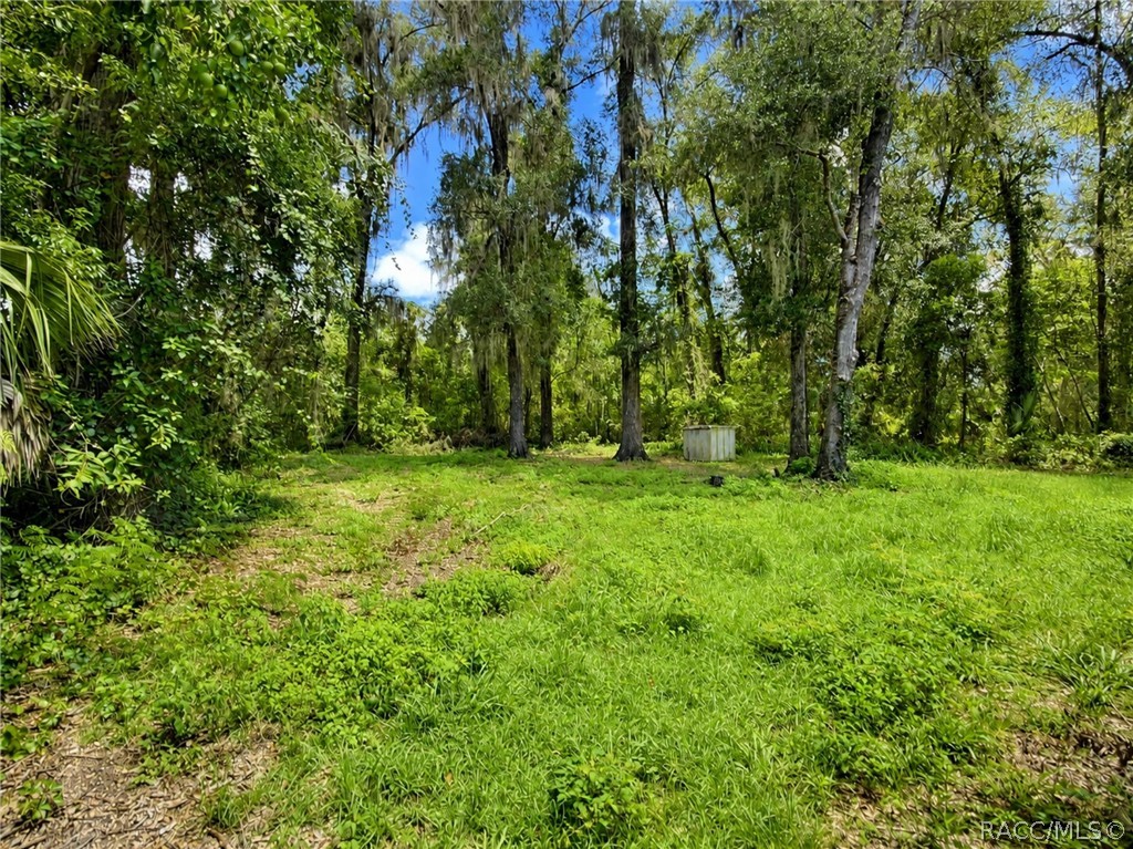3565 East Perry Street Inverness, FL 34453 - Photo 33 of 33 Gallery Image 33