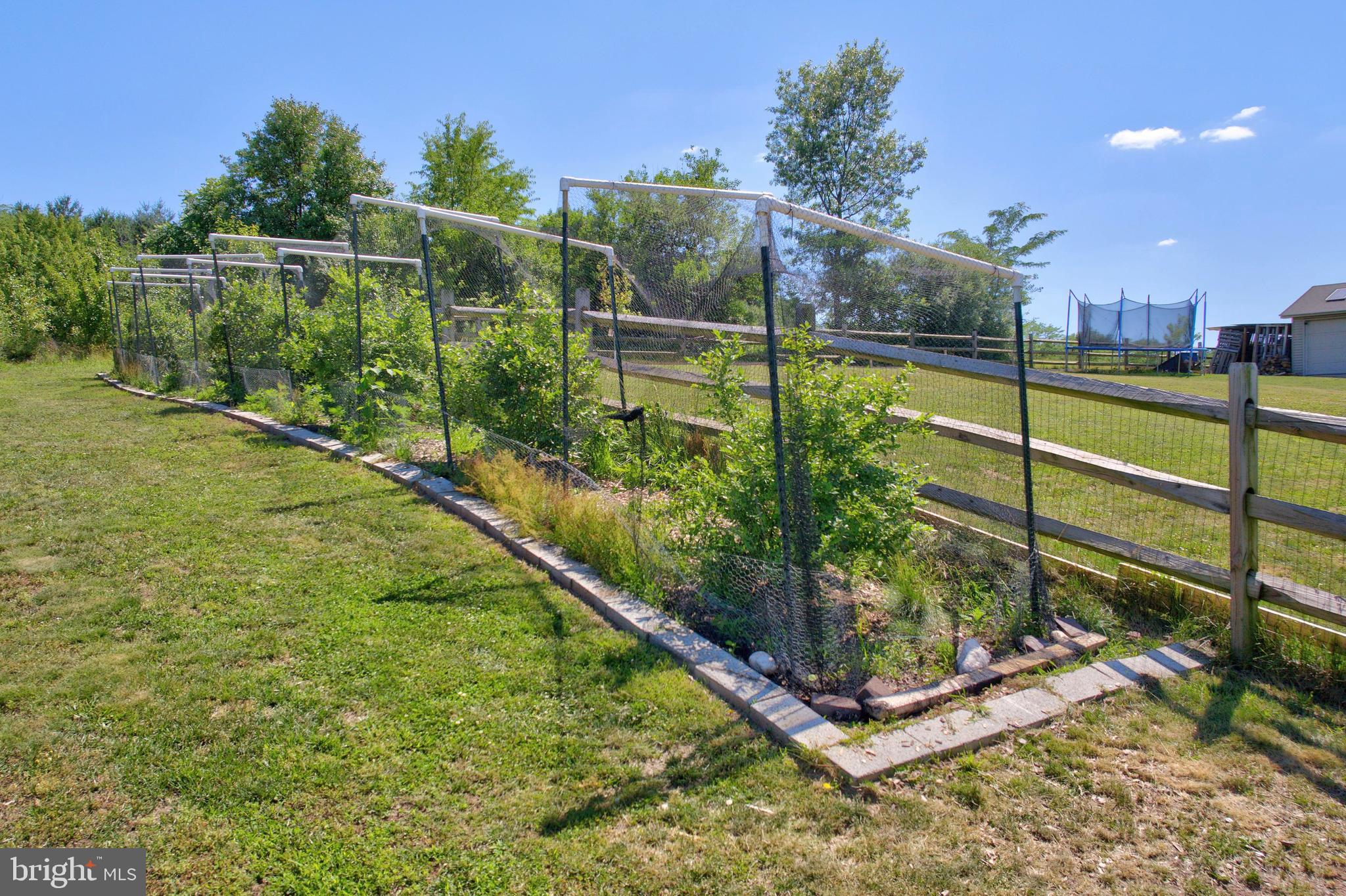 225 North Grant Road Thomasville, PA 17364 - Photo 35 of 49 Berry Bushes