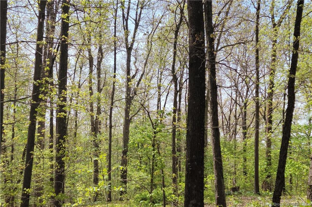 10570 West Polk Road Lexington, IN 47138 - Photo 3 of 20 Gallery Image 3