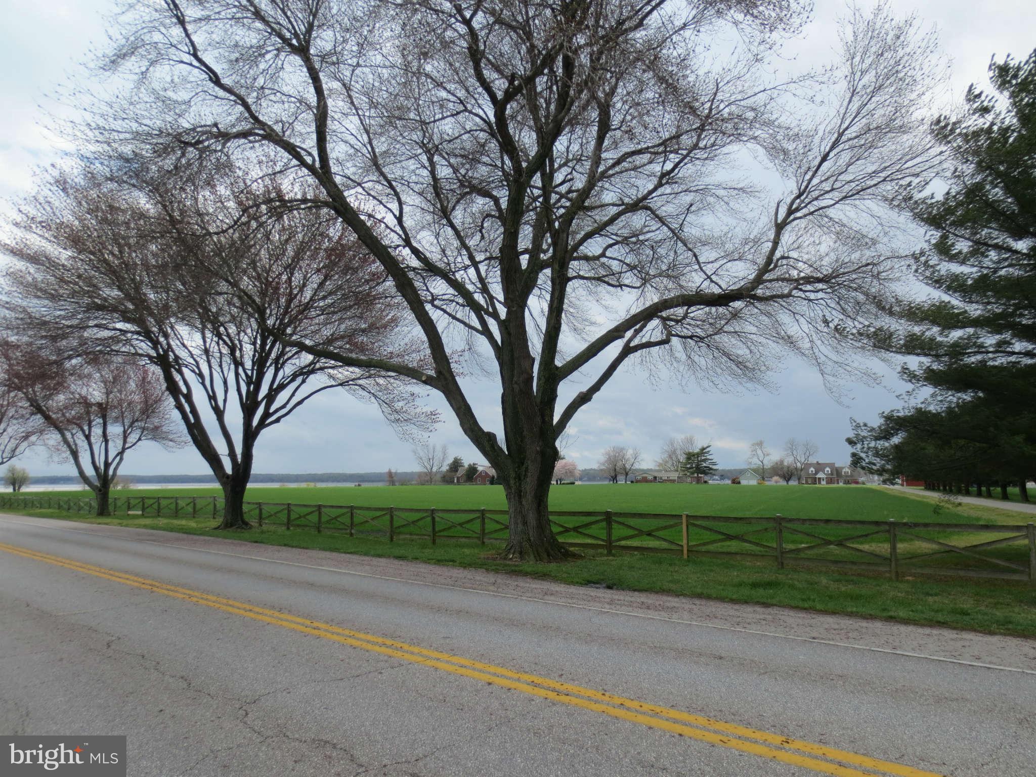 14264 Solomons Island Road South Solomons, MD 20688 - Photo 4 of 5 View