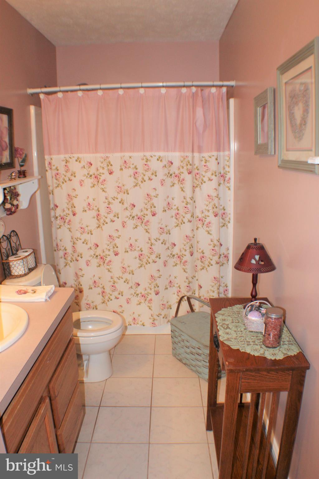 3307 Cabin Road Reva, VA 22735 - Photo 20 of 30 a bathroom with a sink a toilet and a shower