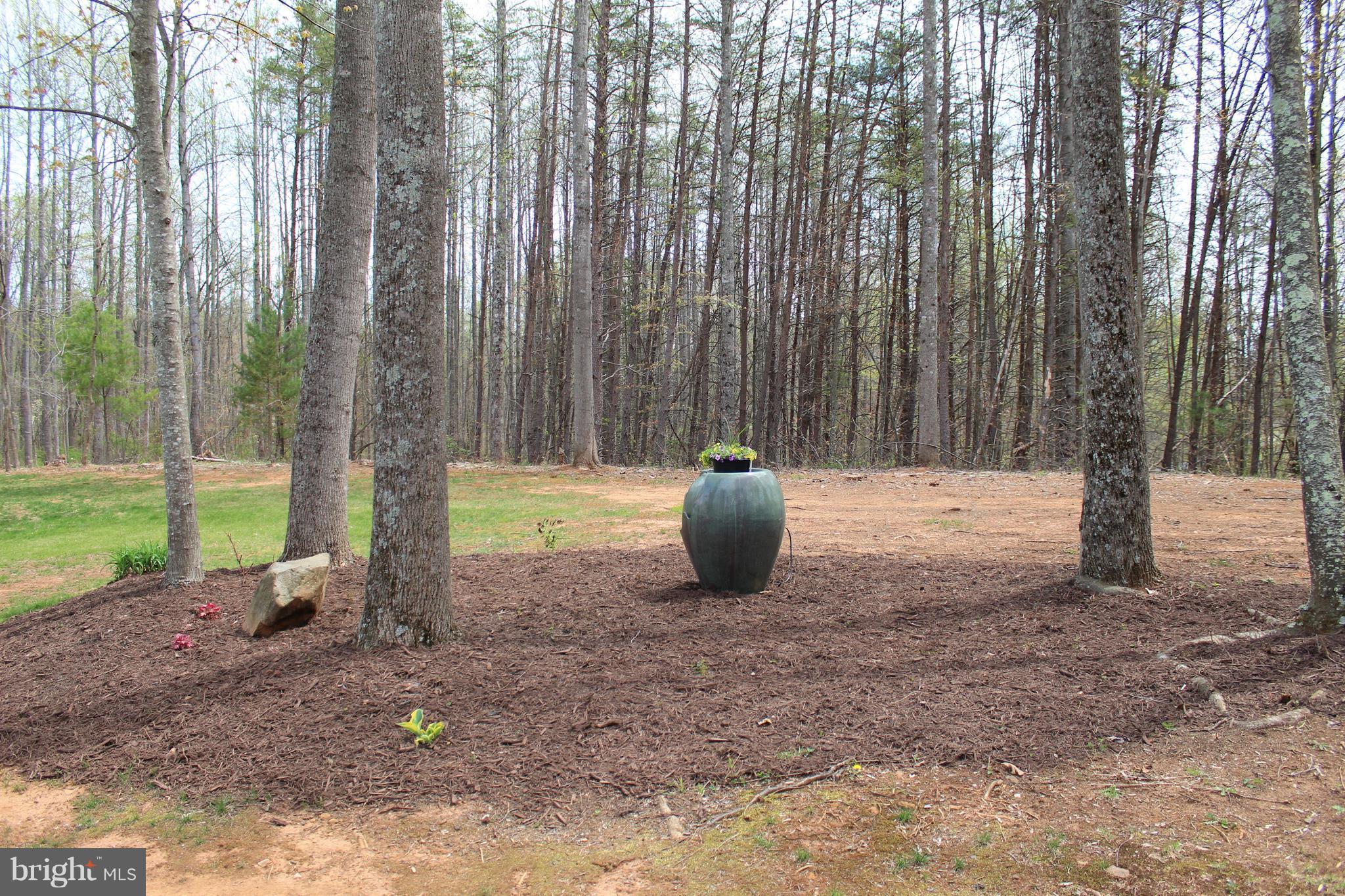 3307 Cabin Road Reva, VA 22735 - Photo 22 of 30 a view of a house with a backyard