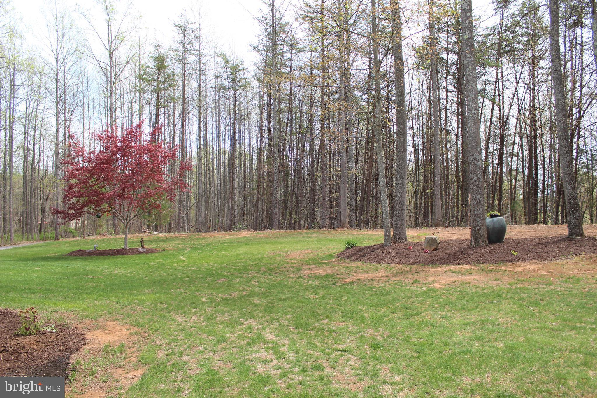 3307 Cabin Road Reva, VA 22735 - Photo 23 of 30 a backyard of a house with lots of green space