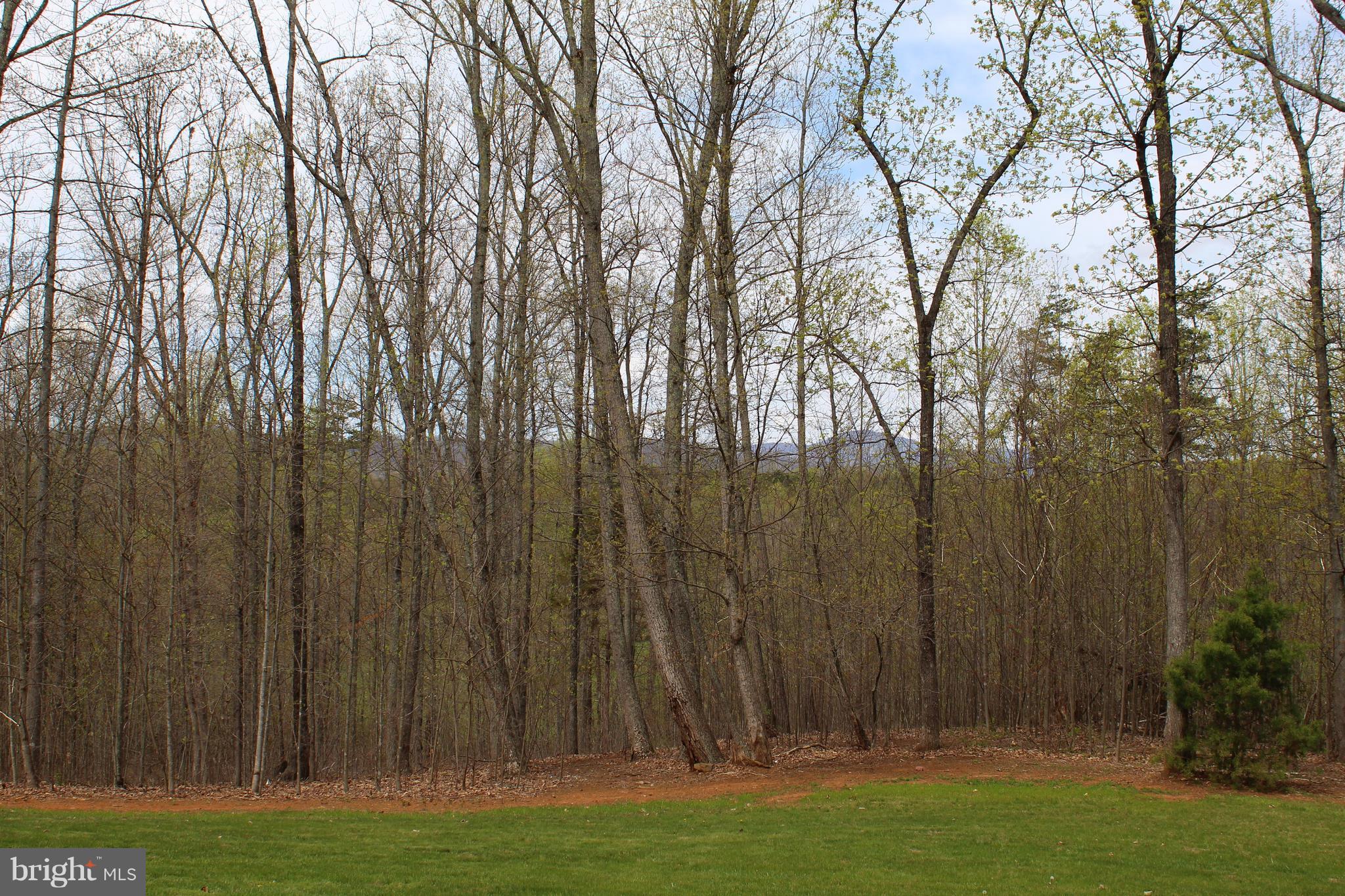 3307 Cabin Road Reva, VA 22735 - Photo 30 of 30 a view of outdoor space with a garden