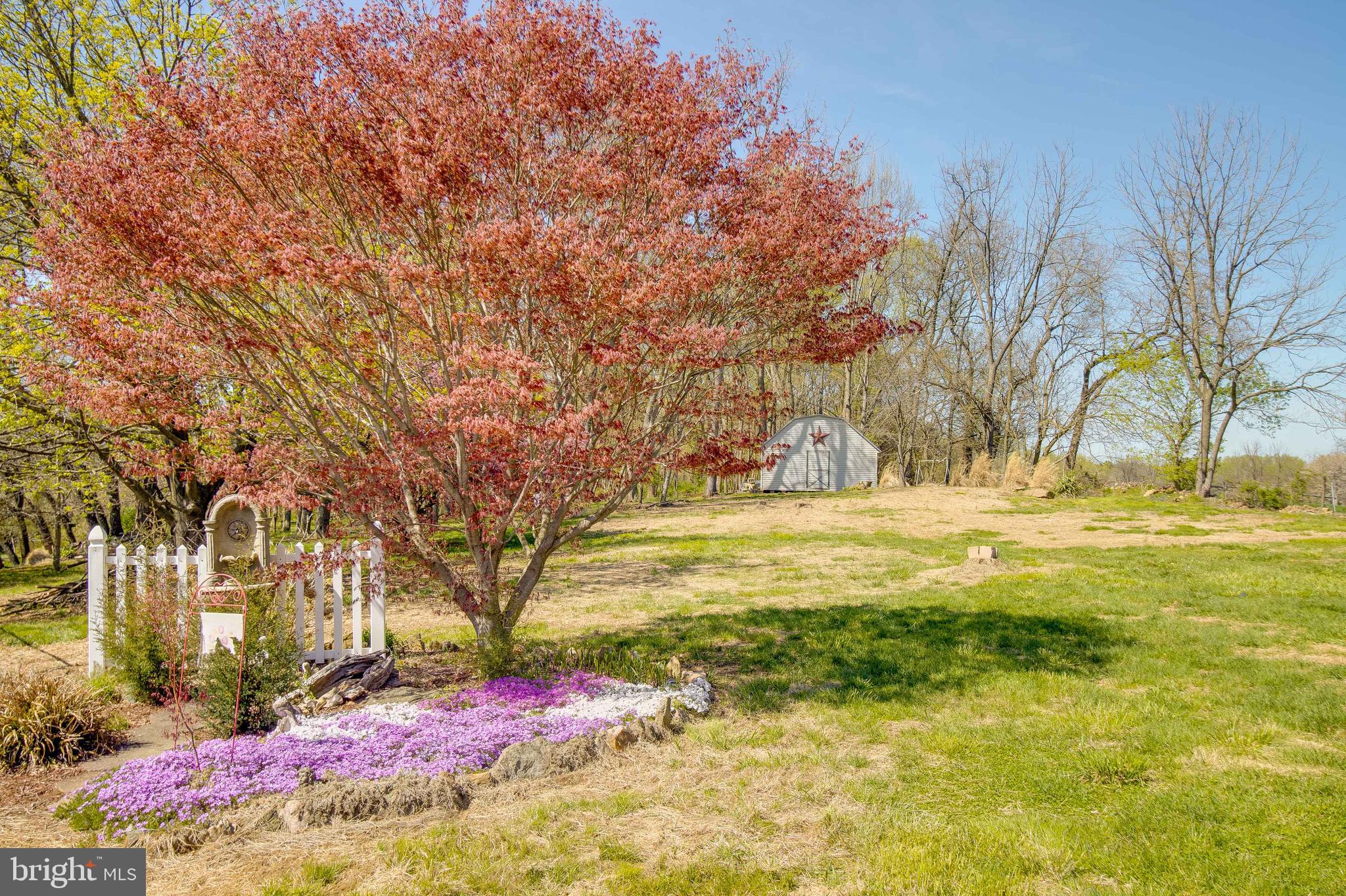 815 Nesbitt Road Colora, MD 21917 - Photo 47 of 49