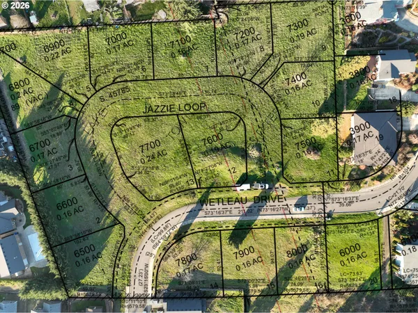 an aerial view of a swimming pool