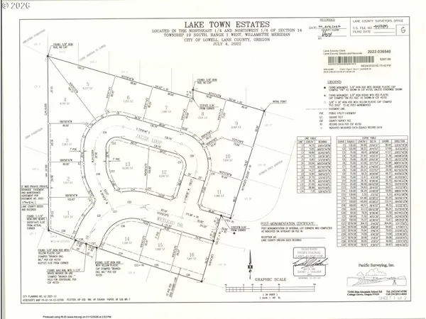 a black and white photo of a lake in the background