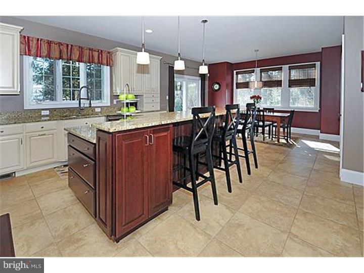 70 Norristown Road Blue Bell, PA 19422 - Photo 5 of 25 Kitchen