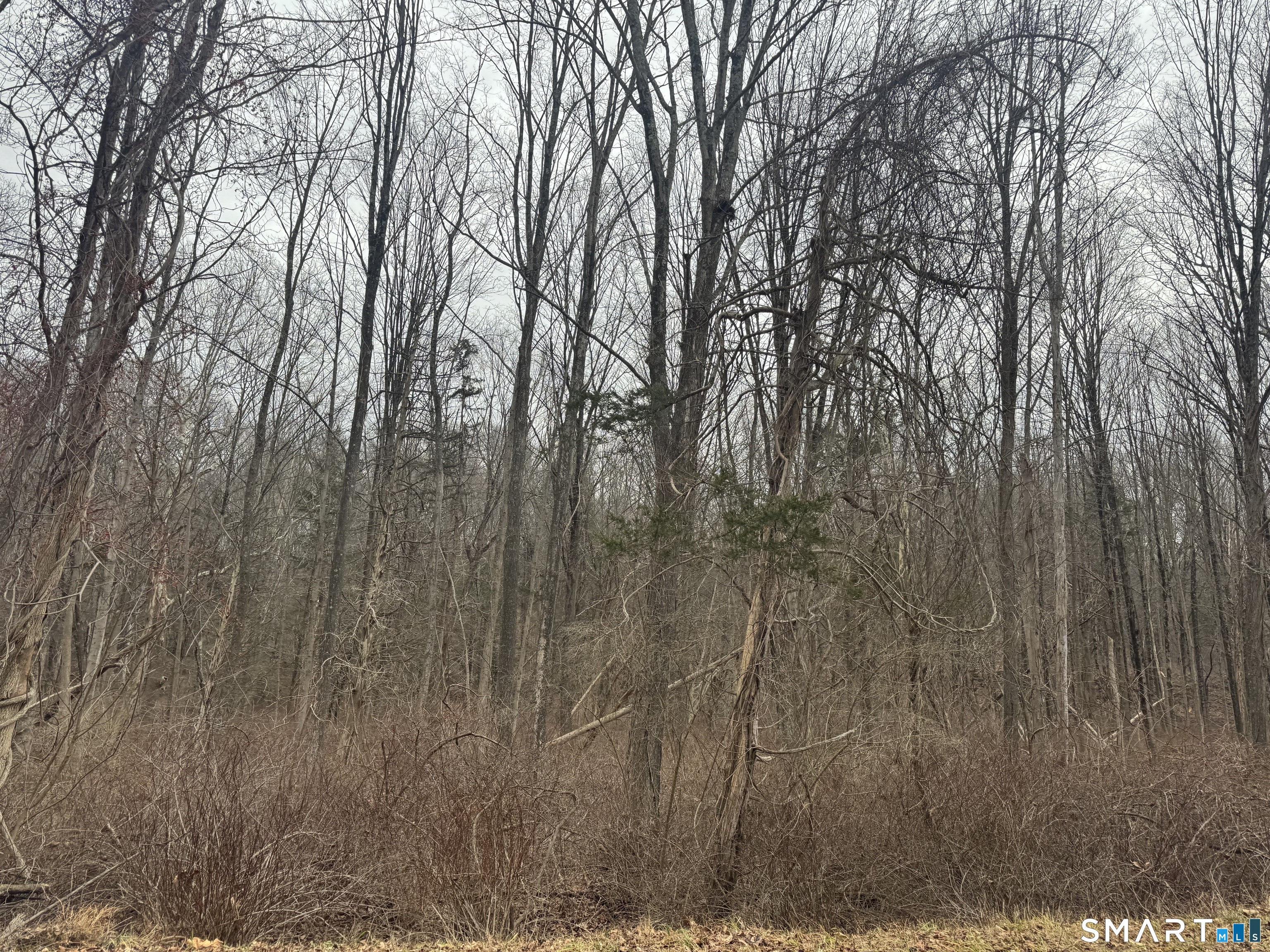 0 Bell Street Middletown, CT 06457 - Photo 1 of 1