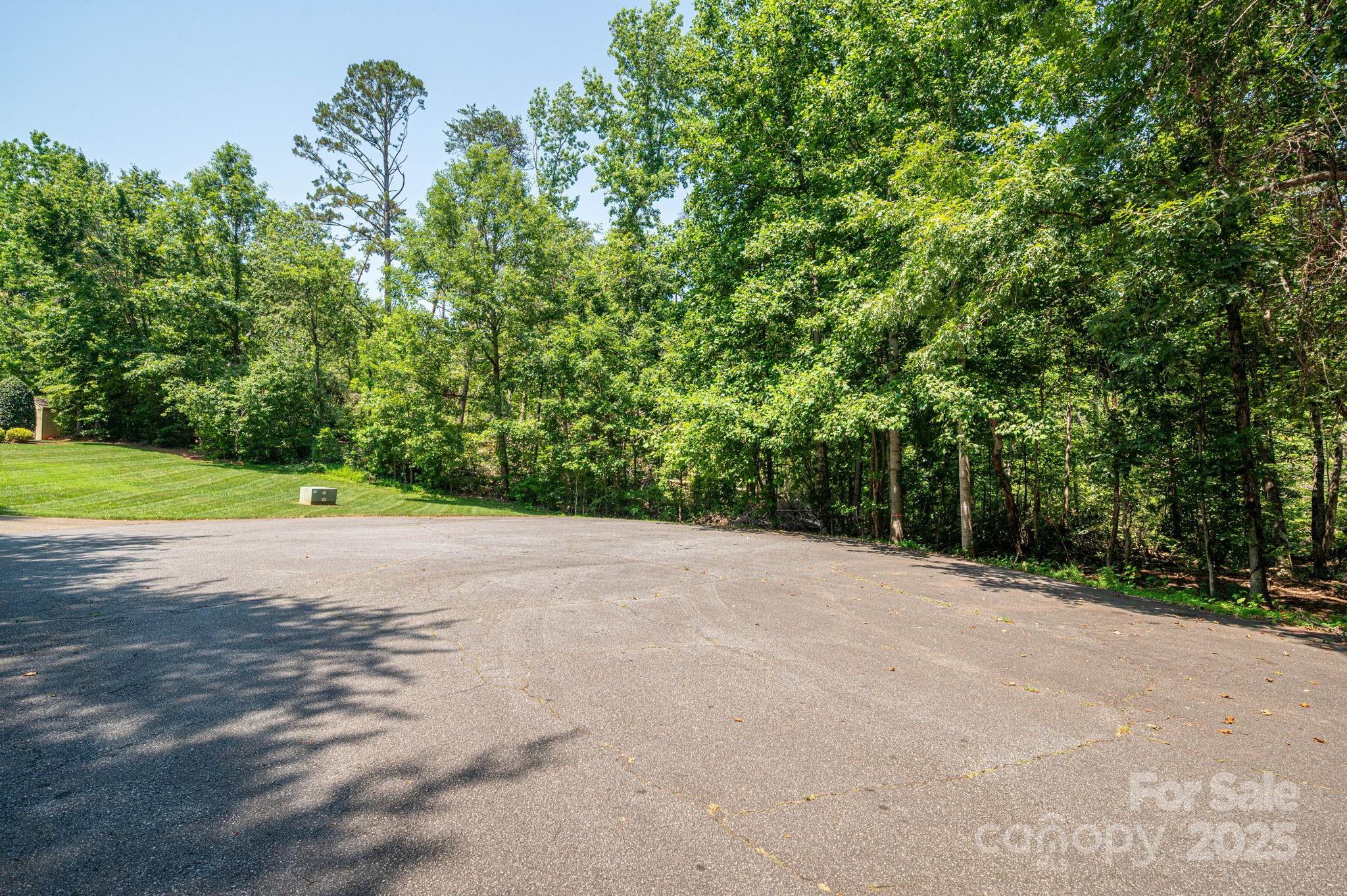 Lot 0 Annapolis Court Rutherfordton, NC 28139 - Photo 9 of 27