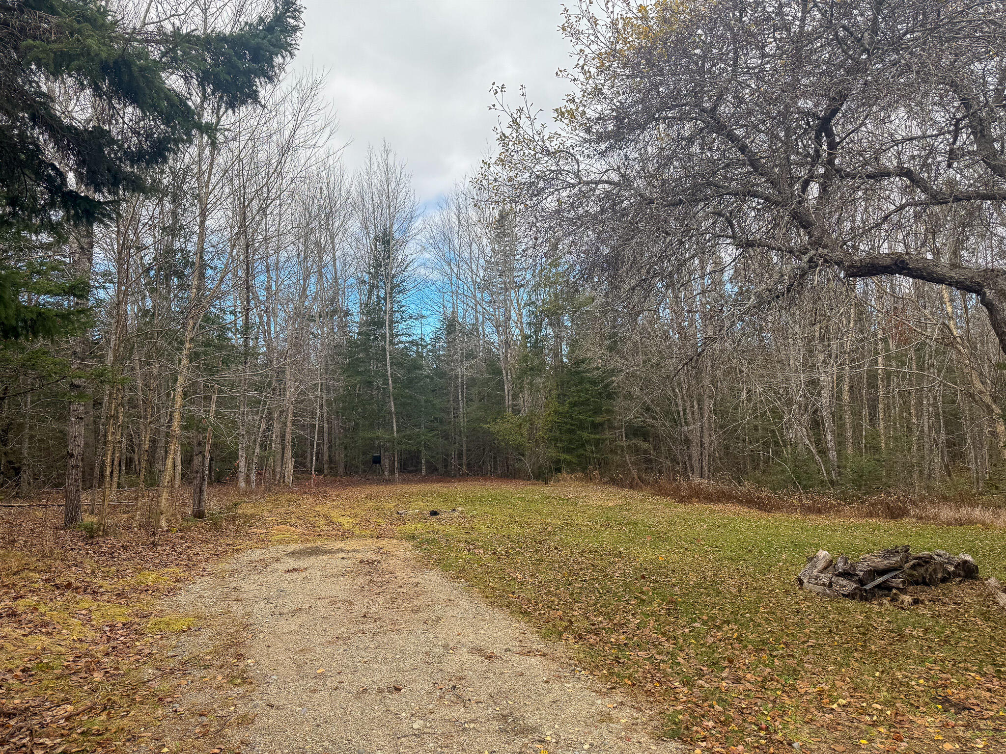 94 Caler Road Columbia Falls, ME 04623 - Photo 6 of 21 IMG_3267