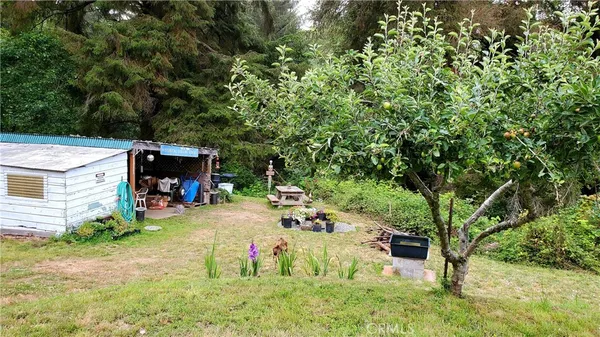 a view of backyard with a table and chairs and a large tree