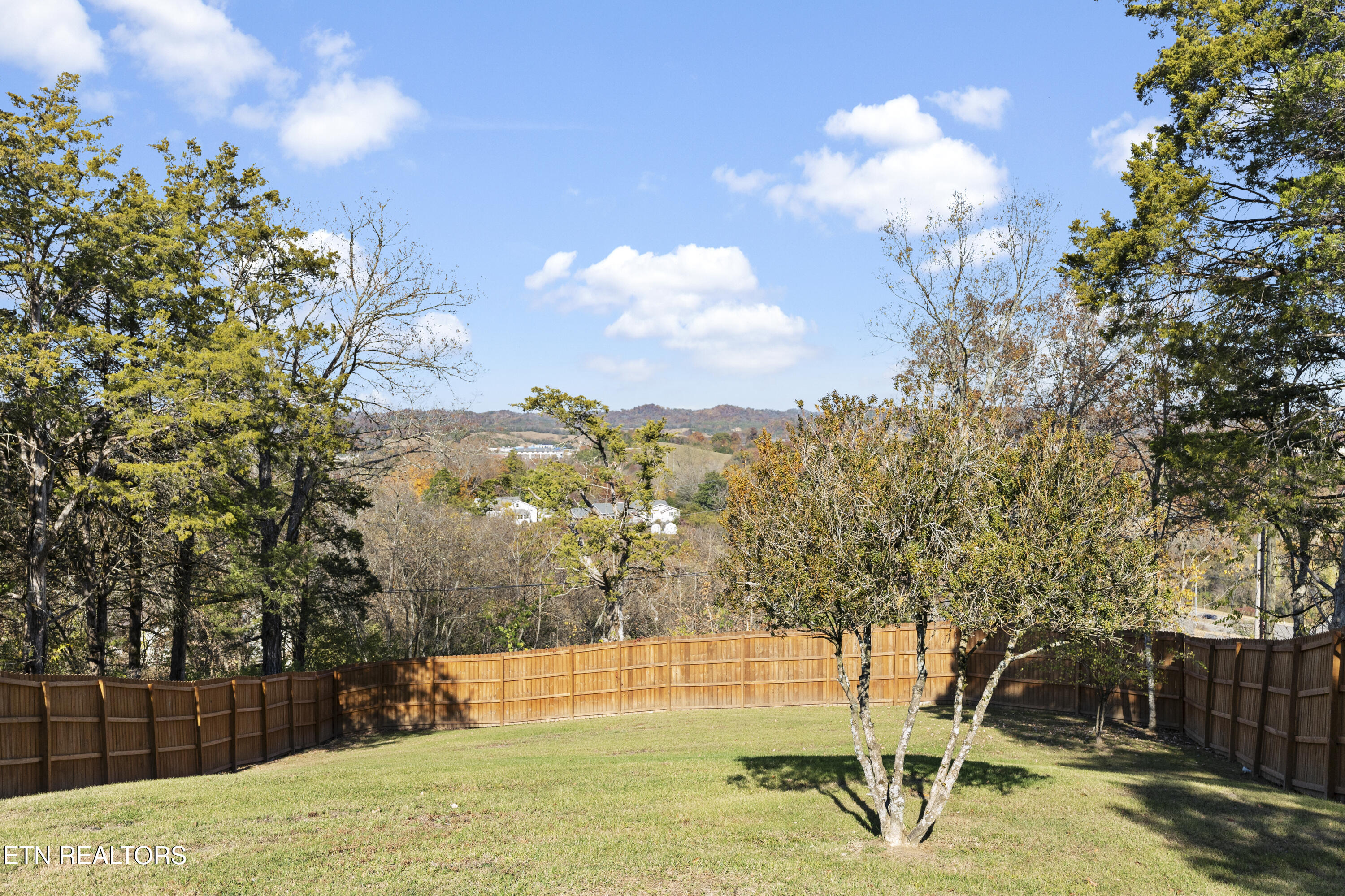 965 Burden Hill Road Sevierville, TN 37862 - Photo 4 of 58 47 - DSC00993