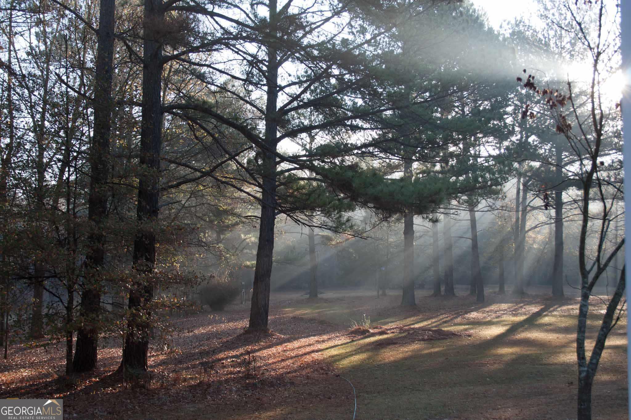 84 West Us Quitman, GA 31643 - Photo 9 of 11