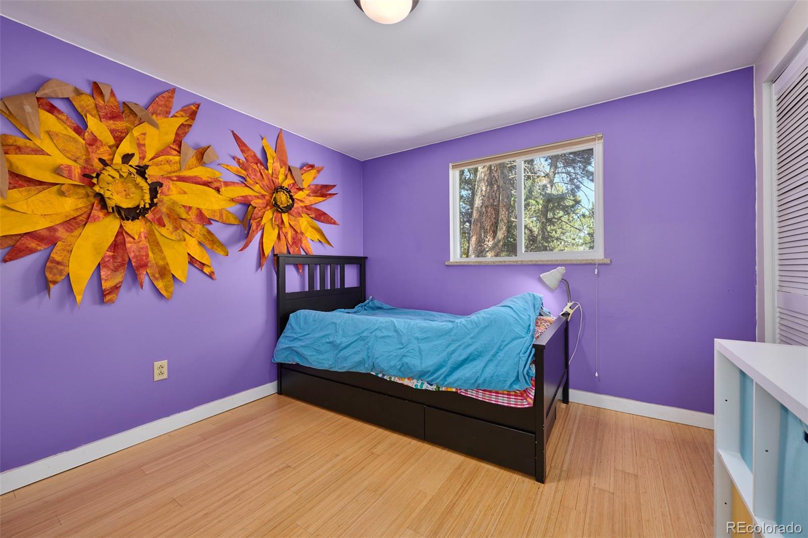 6766 Magnolia Road Nederland, CO 80466 - Photo 21 of 40 Gallery Image 21