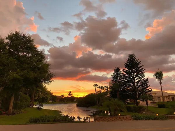 a view of a back yard