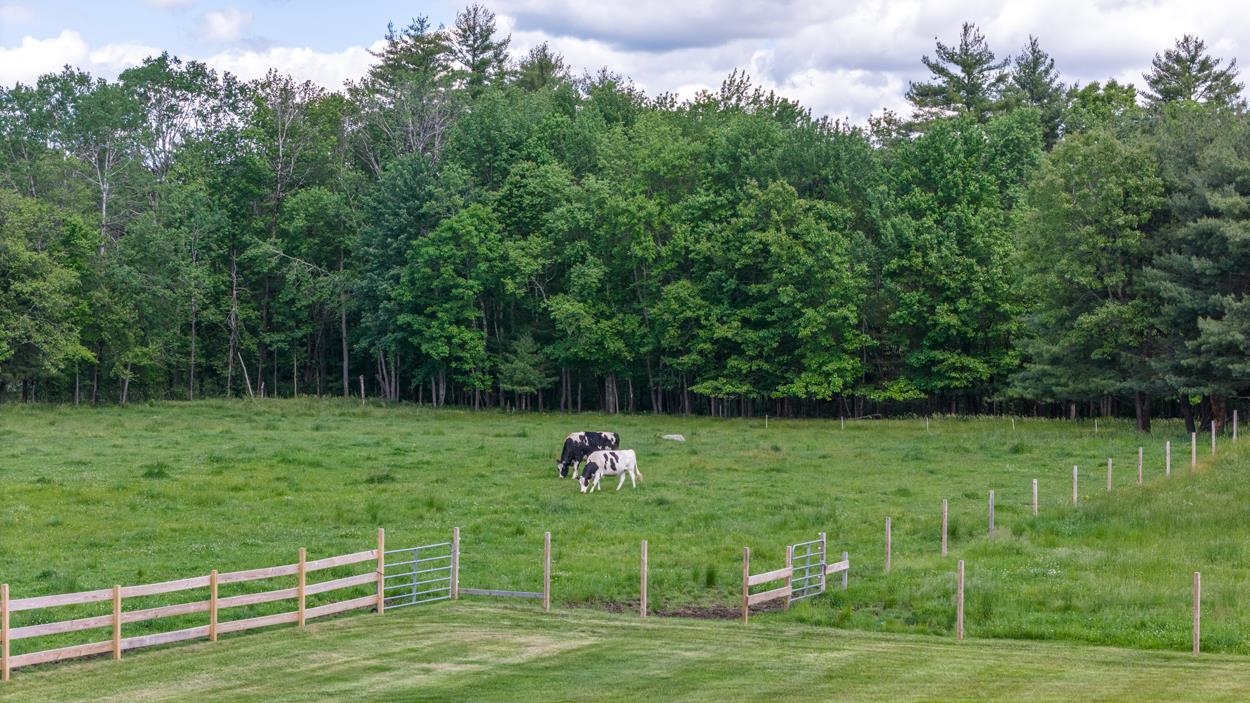 719 Fremont Road Chester, NH 03036 - Photo 33 of 39