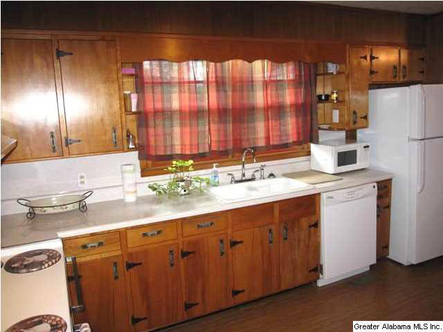 56 Brickstore Road Eastaboga, AL 36260 - Photo 6 of 27