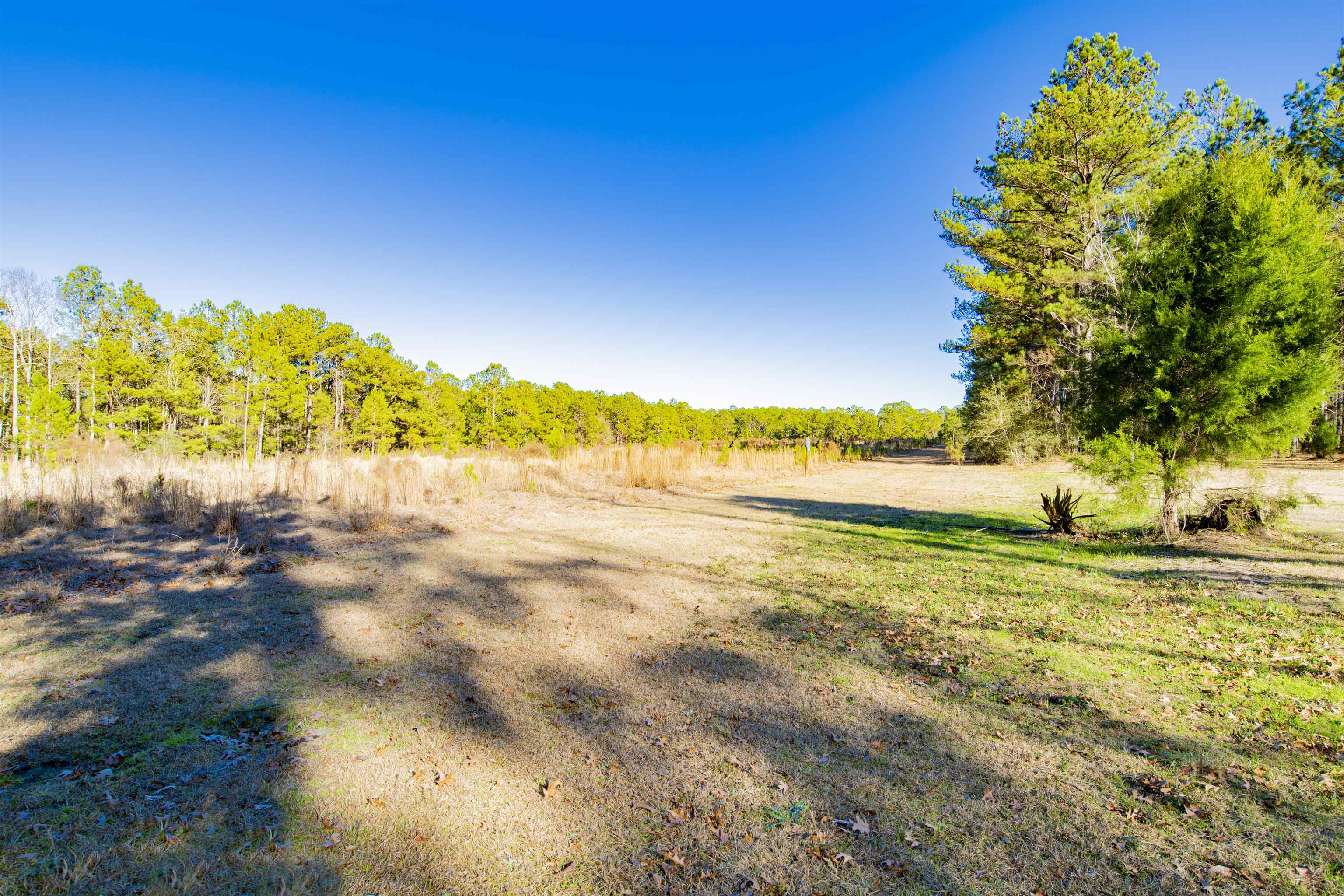 14500 Melvin Johnson Road Stapleton, AL 36578 - Photo 6 of 24