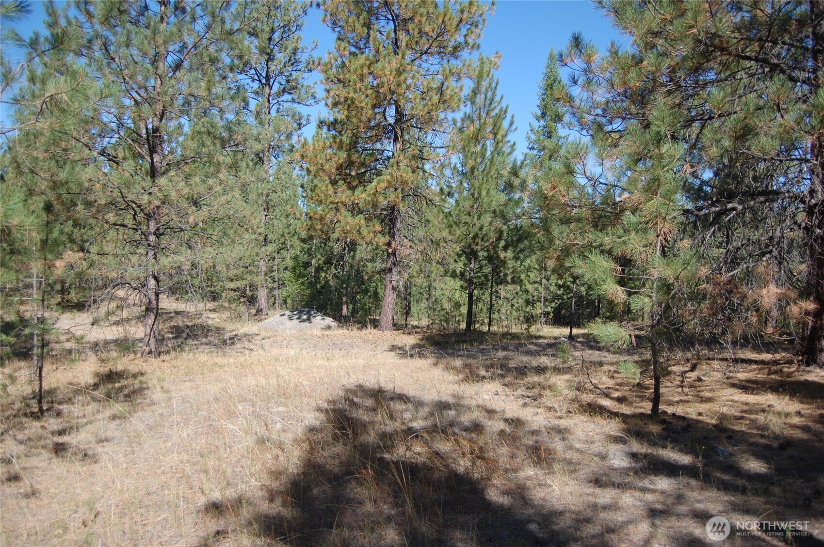 144 Chief Joseph Trail Riverside, WA 98849 - Photo 12 of 16 Gallery Image 12