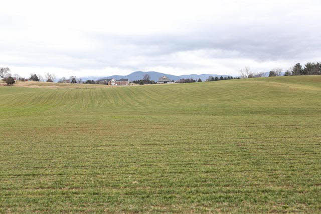 0 Homestead Road Elkton, VA 22827 - Photo 2 of 8 Gallery Image 2