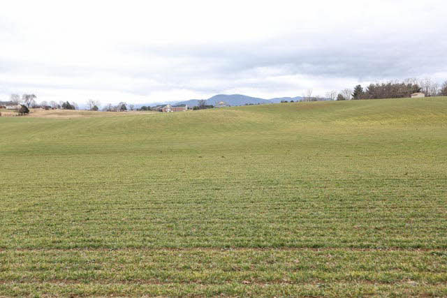 0 Homestead Road Elkton, VA 22827 - Photo 4 of 8 Gallery Image 4