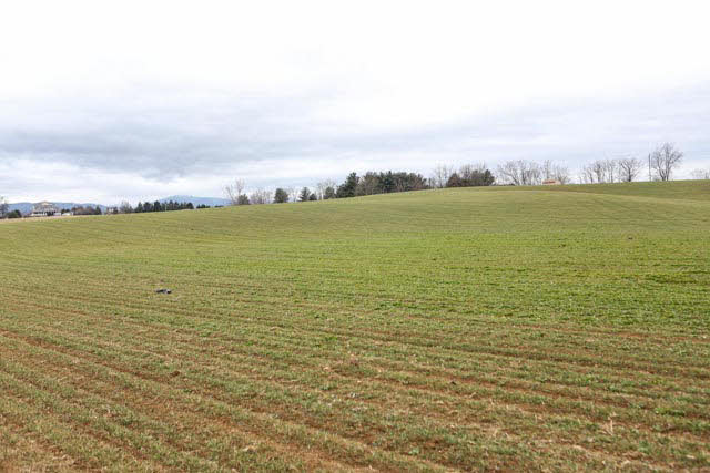 0 Homestead Road Elkton, VA 22827 - Photo 5 of 8 Gallery Image 5