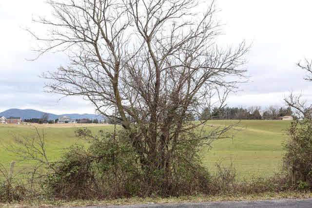 0 Homestead Road Elkton, VA 22827 - Photo 7 of 8 Gallery Image 7