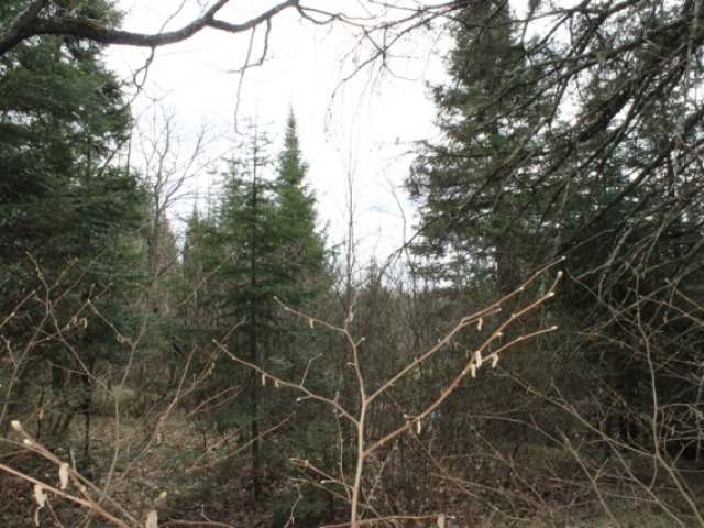 Near West Turtle Rpds Lane, Unit A B Mercer, WI 54547 - Photo 11 of 14 Gallery Image 11