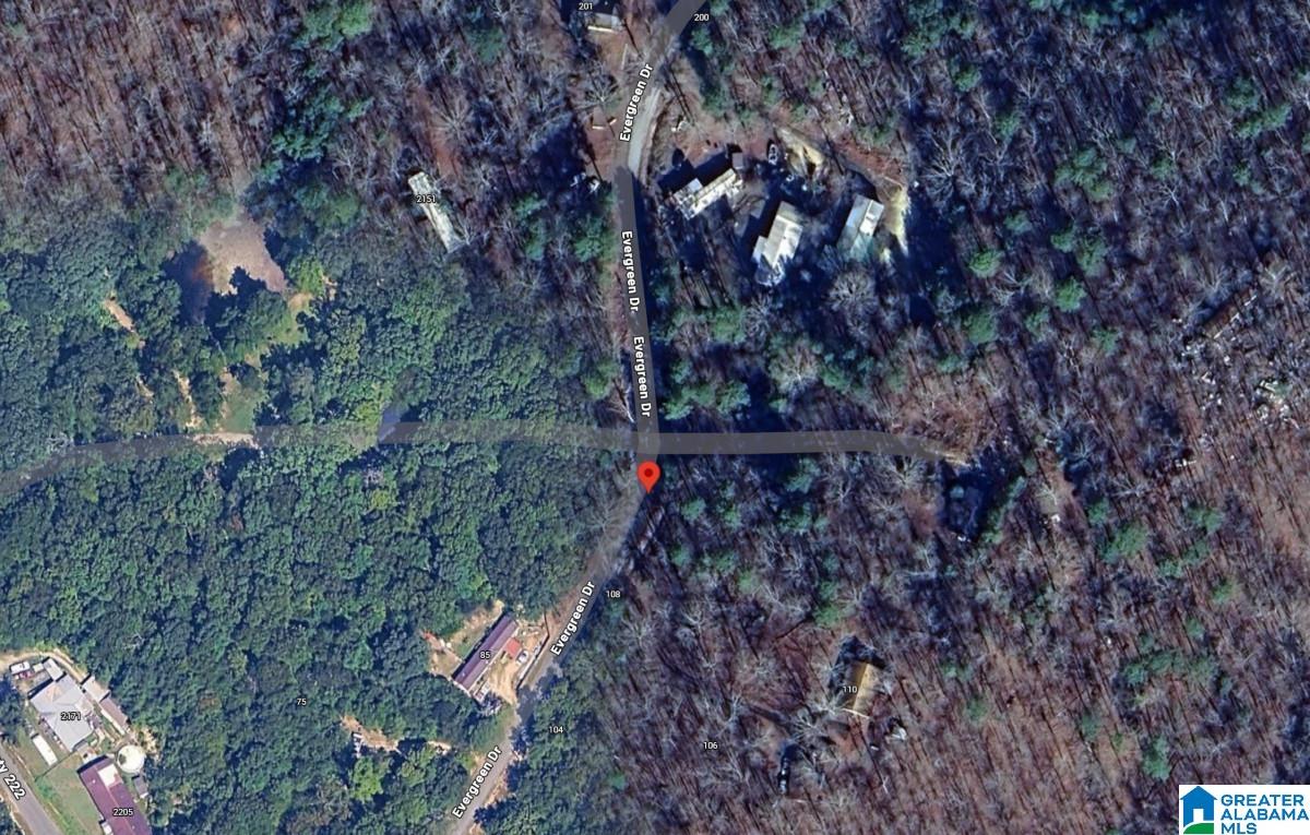 130 Evergreen Drive Springville, AL 35146 - Photo 18 of 20