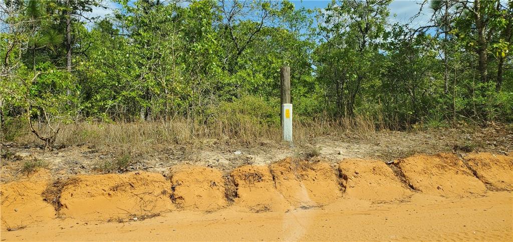 0 Phelps Road Mauk, GA 31058 - Photo 1 of 1 a view of a yard with large trees