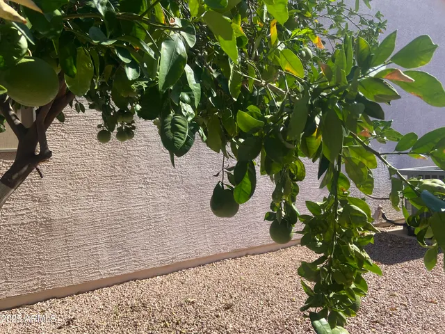 a view of a terrace with a patio