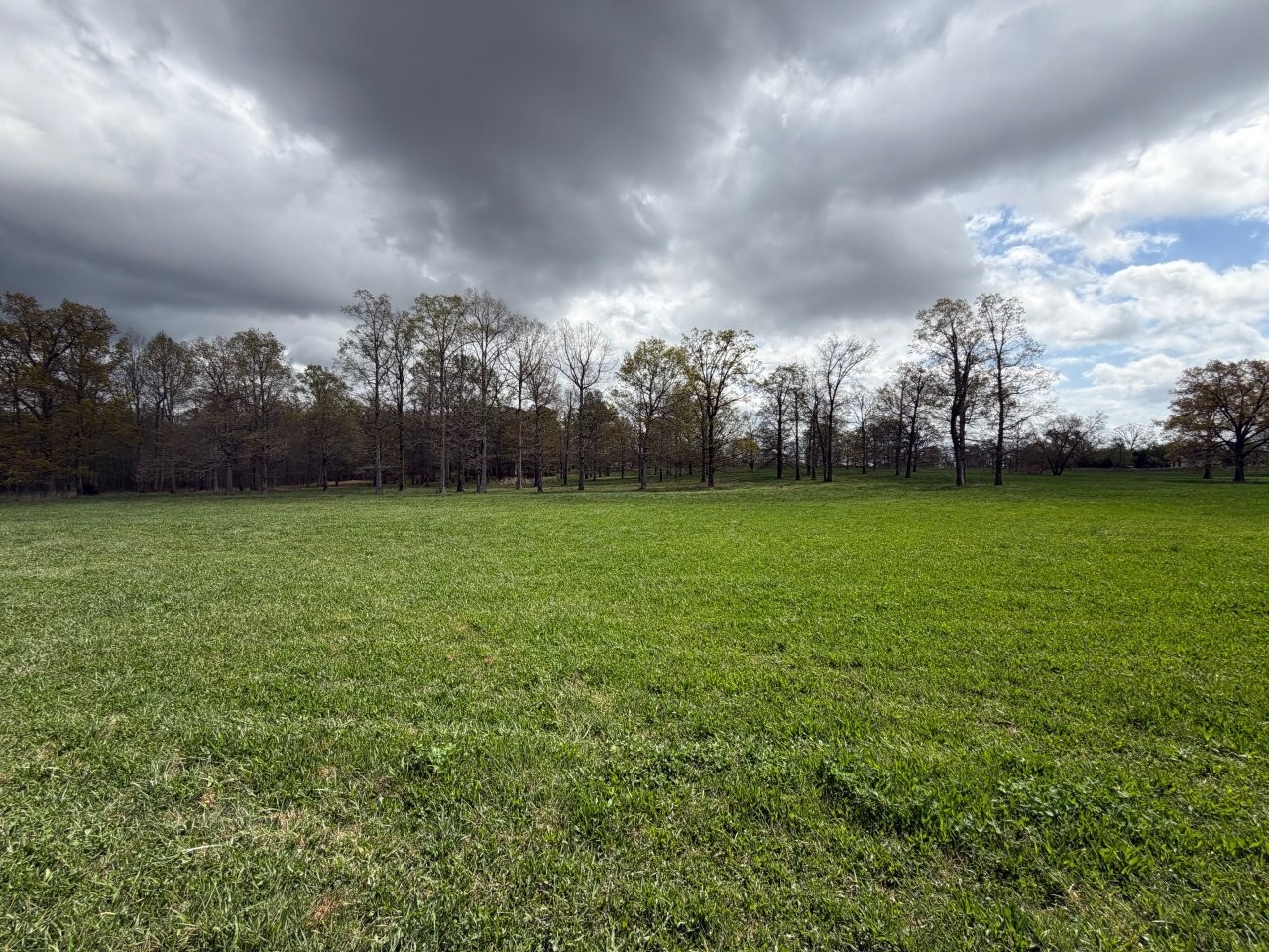 2 Ledford Mill Road Tullahoma, TN 37388 - Photo 4 of 14