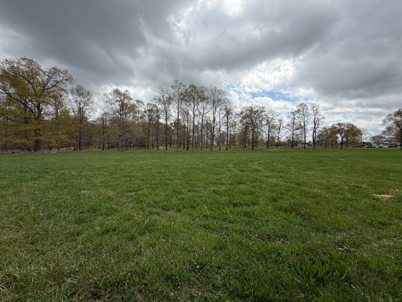 2 Ledford Mill Road Tullahoma, TN 37388 - Photo 5 of 14