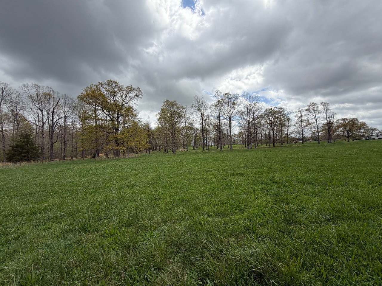 2 Ledford Mill Road Tullahoma, TN 37388 - Photo 6 of 14
