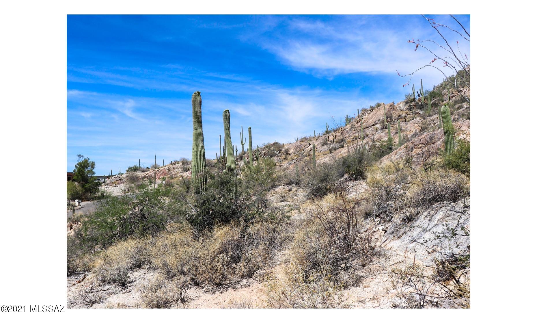 4501 East Ina Road Tucson, AZ 85718 - Photo 13 of 21 Gallery Image 13