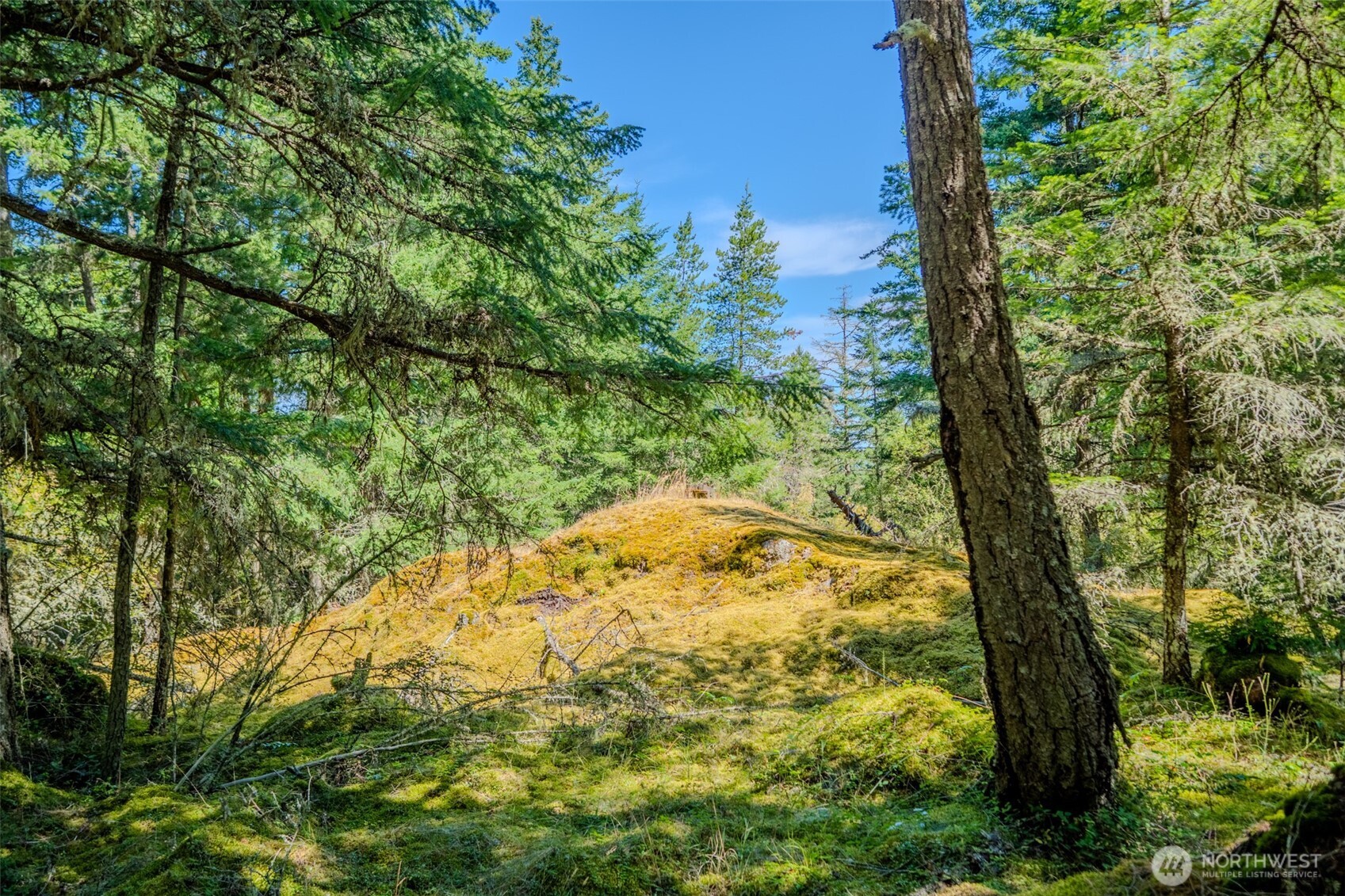 678 Swan Road Orcas Island, WA 98245 - Photo 26 of 39