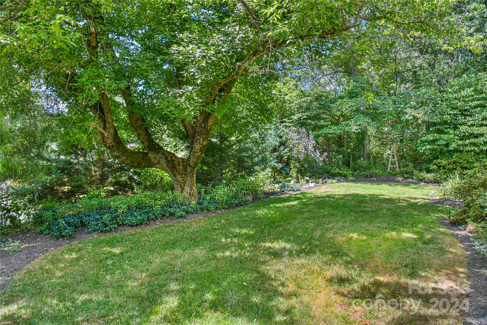 210 East Oakview Road Asheville, NC 28806 - Photo 24 of 31 a view of yard with green space