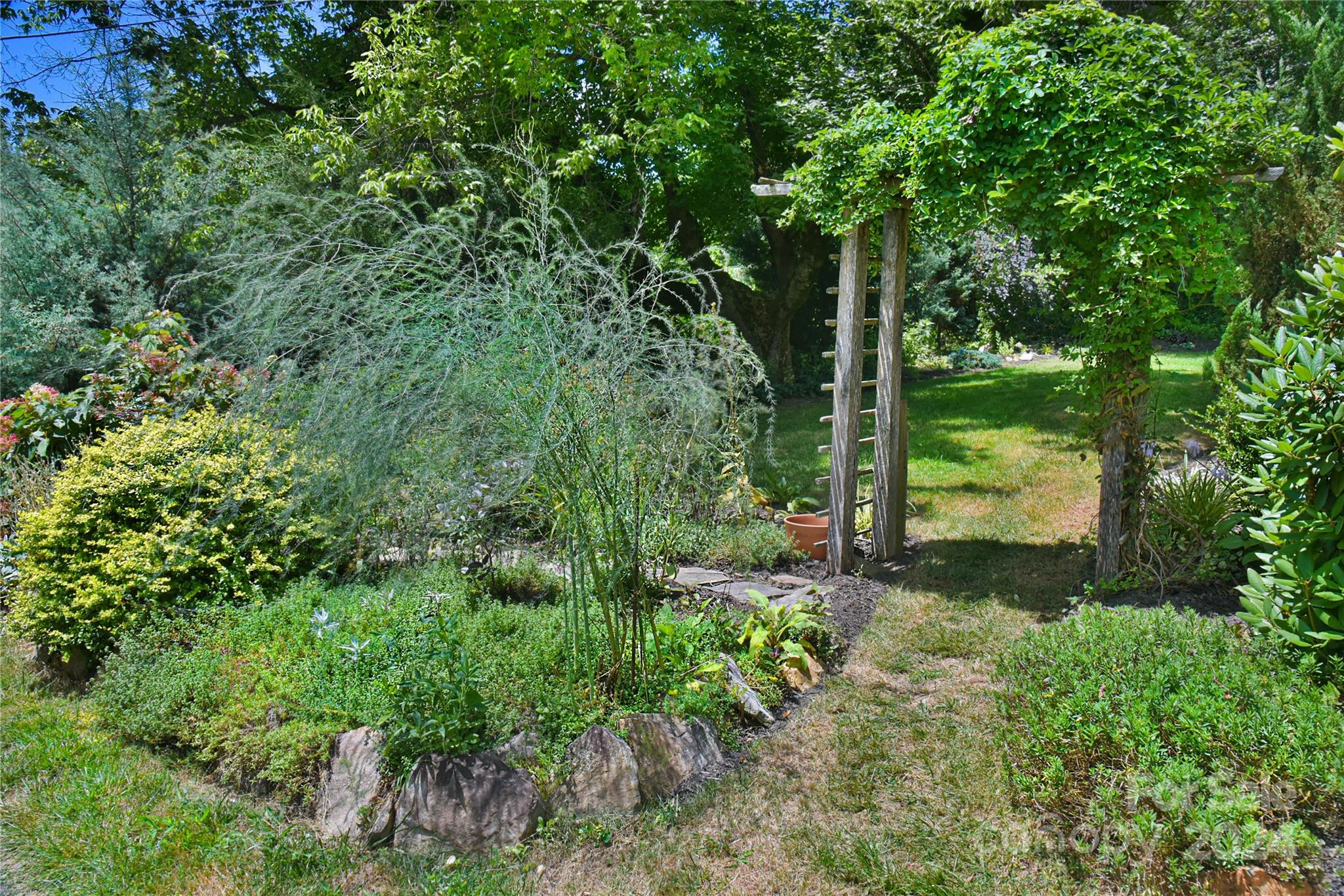 210 East Oakview Road Asheville, NC 28806 - Photo 26 of 31 a view of a forest
