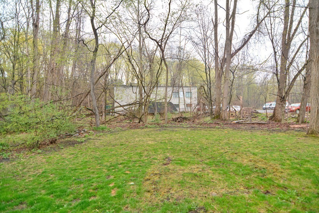 183 Main Street Northampton, MA 01053 - Photo 42 of 42 a view of yard with tree