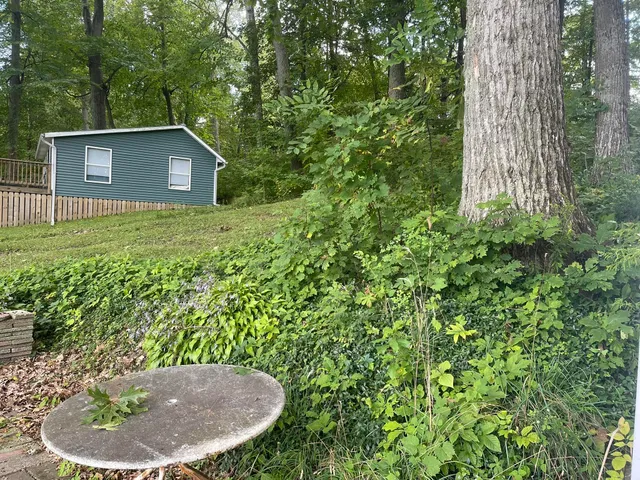 $45,000 | 13697 Lower Bayside Drive, Belding, MI 48809