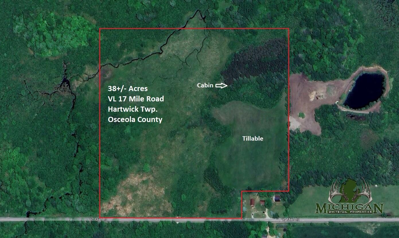 17 17 Mile Road Marion, MI 49665 - Photo 1 of 54 Aerial View