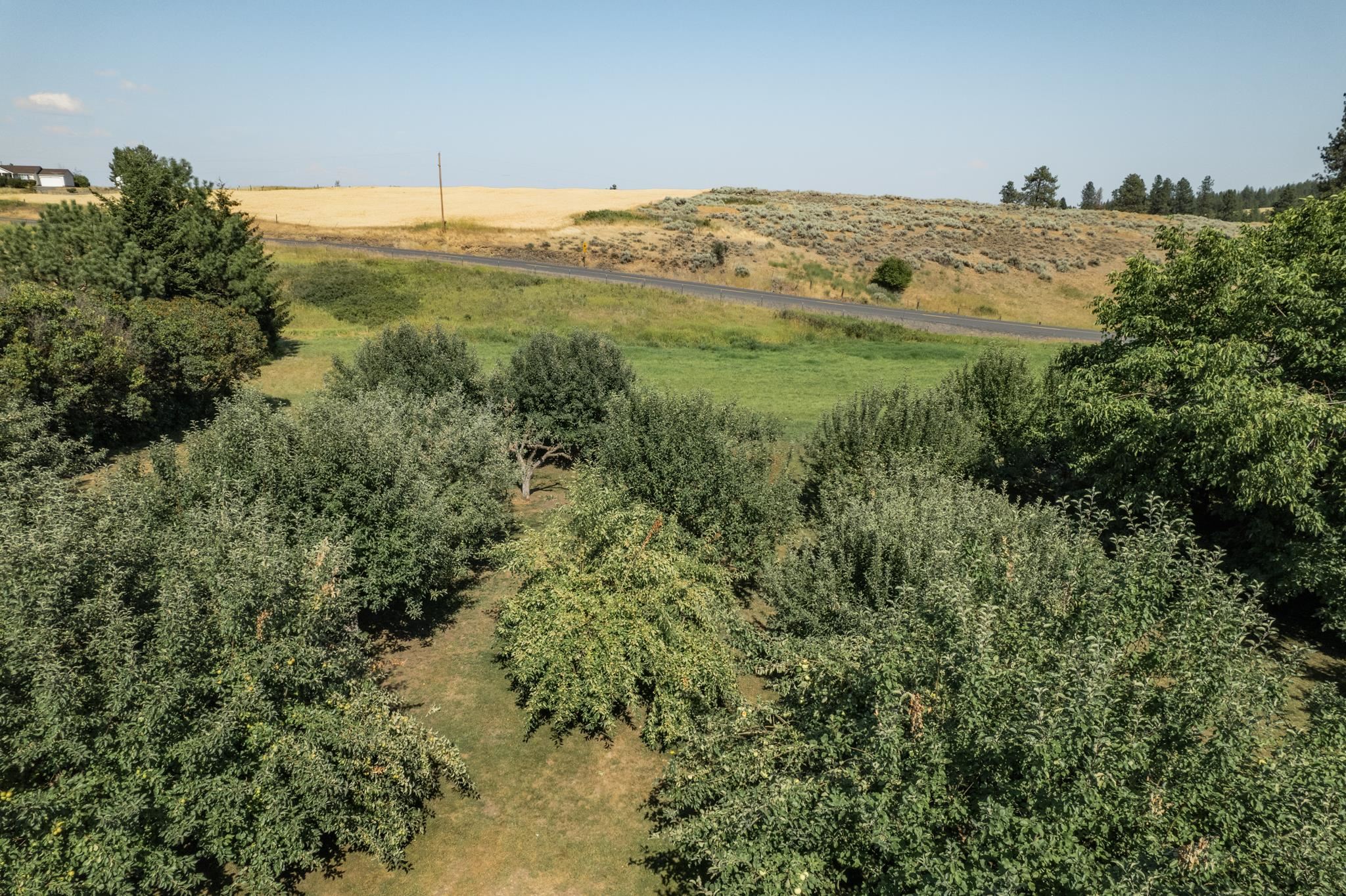 6215 North Wood Road Reardan, WA 99029 - Photo 48 of 50